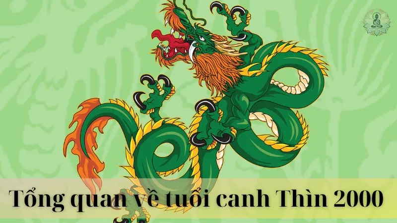 2000 hợp làm ăn với tuổi nào 02