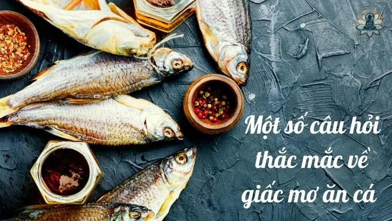 Một số câu hỏi thắc mắc về giấc mơ ăn cá 