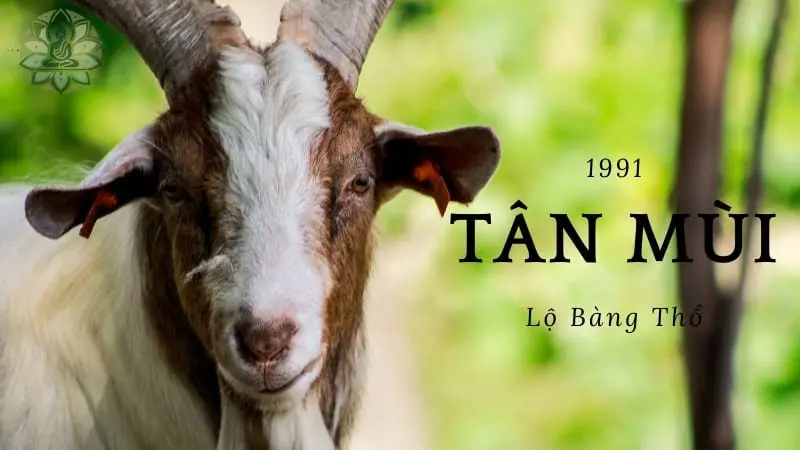 Hướng nhà hợp tuổi 1991 nam giới - Bí quyết đem lại sự thịnh vượng