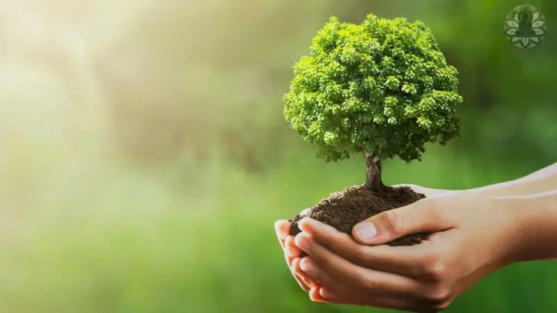  Ý nghĩa và tác động của ngày Trái Đất 2