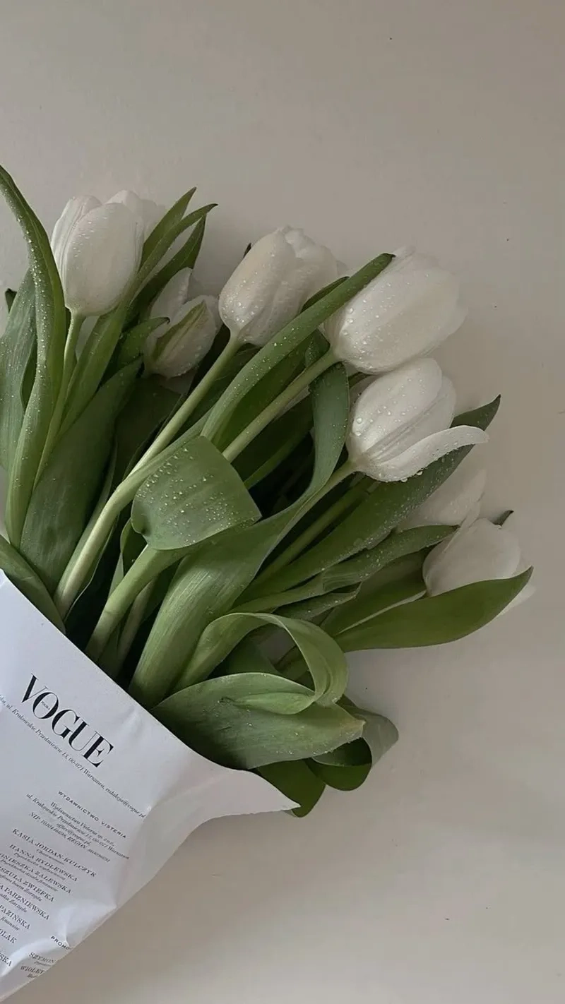 Nét quyến rũ của ảnh hoa tulip đẹp làm say đắm lòng người