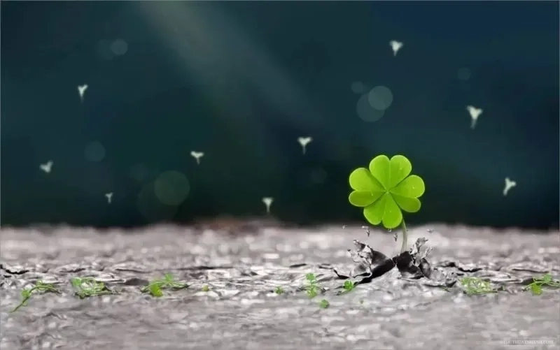 Nổi bật với ảnh đại diện tiktok ngầu và phong cách đầy cá tính