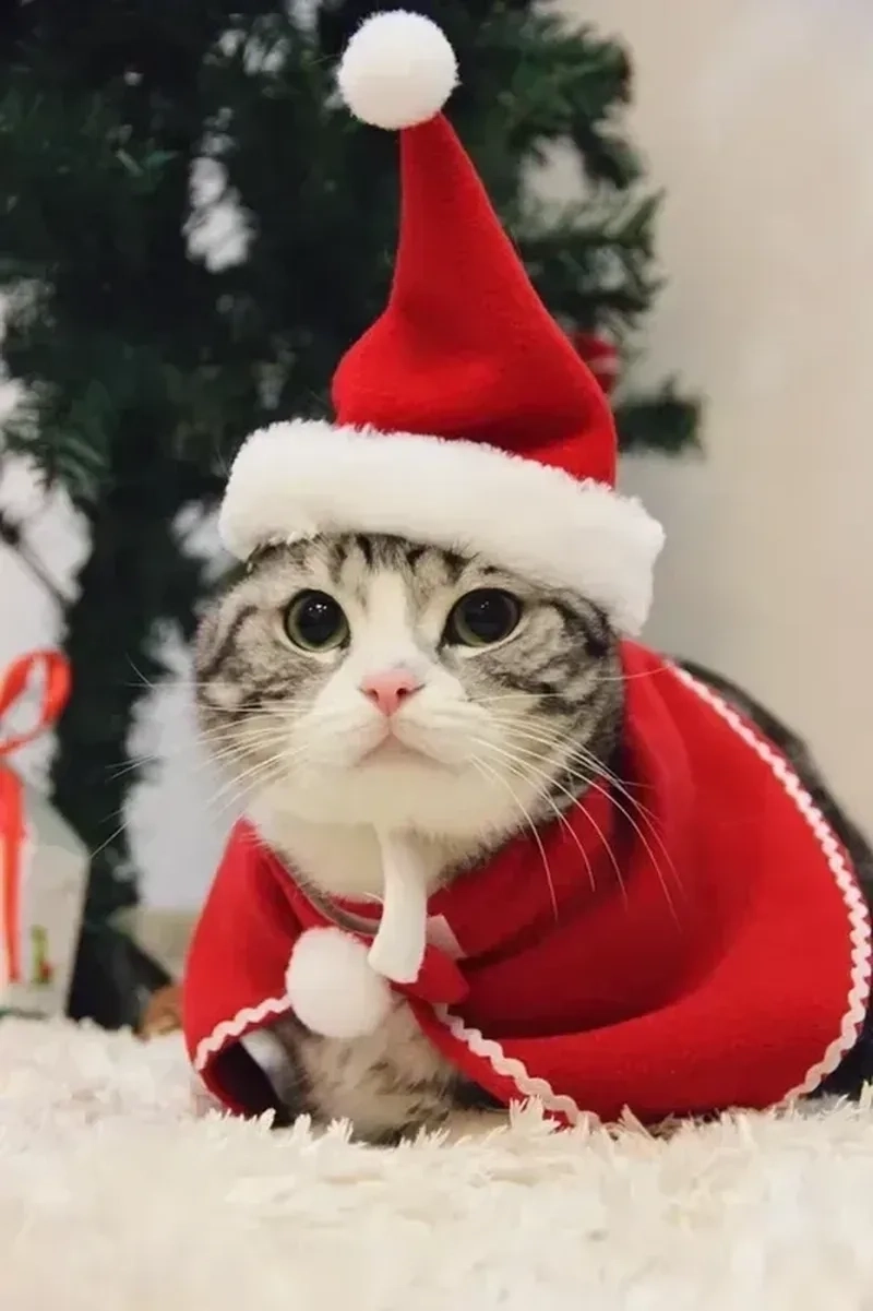 Avatar cặp đôi yêu nhau là lựa chọn hoàn hảo để thể hiện tình yêu ngọt ngào