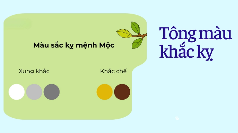 Những tông màu khắc kỵ khiến mệnh Mộc dễ hao hụt tài chính