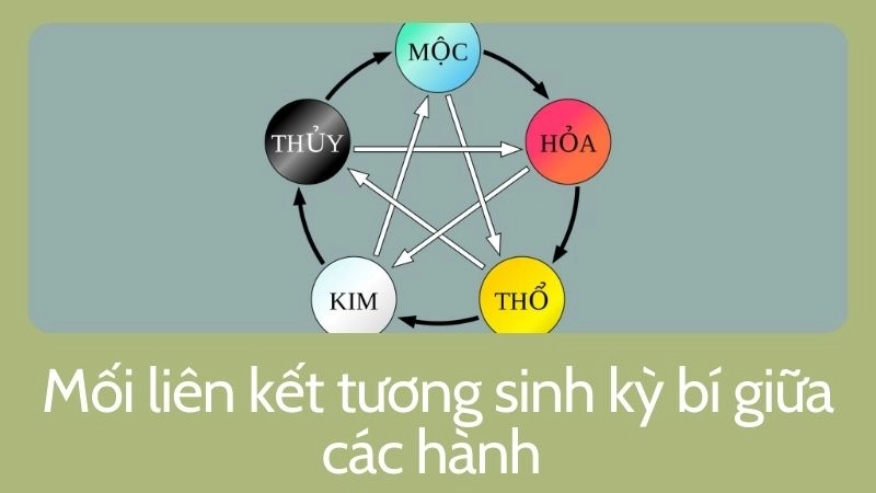 Mối liên kết tương sinh kỳ bí giữa các hành 
