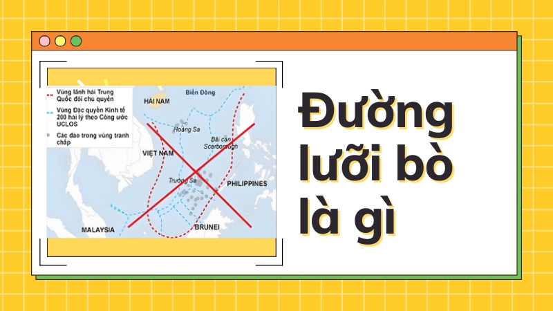 Đường lưỡi bò là gì và nguồn gốc lịch sử cần biết